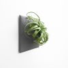 Node L Wall Planter, 12" Mid Century Modern Planter, Gray | Plant Hanger in Plants & Landscape by Pandemic Design Studio. Item made of stoneware