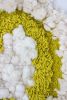 CHARTREUSE CLOUDS - Textile Wall Sculpture | Wall Hangings by Melodie Nicolle. Item composed of wood and cotton in boho or minimalism style