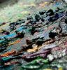 Enchanted Forest Painting | Paintings by Mishell Leong