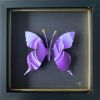Flower Butterfly Boxes | Decorative Frame in Decorative Objects by Lorna Doyan. Item composed of paper