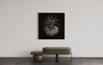Ethereal Bloom | Photography by Tal Shpantzer | Talfoto Studio. Item compatible with minimalism and contemporary style