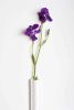 ST. JORDI Vase | Vases & Vessels by Maia Ming Designs. Item composed of ceramic