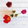 Heart Vase Trio | Vases & Vessels by Maia Ming Designs. Item composed of ceramic