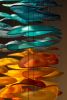 Horizon | Sculptures by The Goodman Studio. Item made of glass