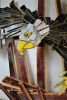 AMERICANA | Wall Sculpture in Wall Hangings by JOSE ANTONIO ARVELO | Point Pleasant Beach in Point Pleasant Beach. Item made of wood