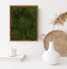100% Live Moss Wall Art in Brown | Living Wall in Plants & Landscape by Moss Pure. Item composed of wood compatible with contemporary and industrial style