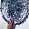 Tree ring print, Old Oak Tree, Nauvoo, Illinois | Prints by Erik Linton. Item made of paper