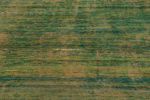 Rug & Kilim’s Modern Textural Square Rug, Warm Tone-on-Tone | Area Rug in Rugs by Rug and Kilim
