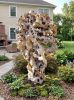 Bespoke Monumental Authentic Natural Taihu Stone Sculpture | Public Sculptures by Dynasty Artisan. Item made of stone works with minimalism & contemporary style