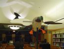 The Birds | Public Sculptures by Kipp Kobayashi | Live Oak Branch Library in Santa Cruz