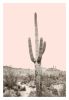 Saguaro Cactus in Sonoran Desert - Blush Pink | Photography by Capricorn Press. Item composed of paper compatible with boho and contemporary style