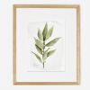 Basil Bliss Mediterranean Culinary Herb Art Print Kitchen | Drawings by Jennifer Lorton Art. Item made of paper works with country & farmhouse & japandi style