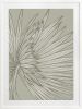 Nobilis Palm - 1 & 2 & 3 - Grey Green - Framed Art | Prints by Patricia Braune. Item composed of paper