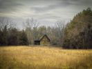 Farmstead Stillness | Photography by Jay Mason. Item made of paper compatible with minimalism and country & farmhouse style