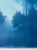 Caminante No Hay Camino (35x23" hand-printed cyanotype, 1/3) | Photography by Christine So. Item composed of paper in country & farmhouse or rustic style