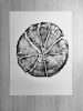 Glacier National Park, Split Log Tree Ring Prints | Prints by Erik Linton. Item made of paper