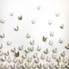 Extra Large Butterflies Wall Art Set of 60 | Wall Sculpture in Wall Hangings by Elizabeth Prince Ceramics. Item made of ceramic