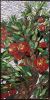 "Michigan Orchards Perspectives" | Glasswork in Wall Treatments by DSouza Mosaics | Bright Horizons at St. Joseph Mercy Hospital Oakland in Pontiac. Item composed of glass & synthetic