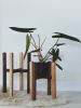 Plant Stand Indoor | Plants & Landscape by ROOM-3. Item composed of maple wood