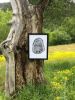 Utah Locust Tree | Prints by Erik Linton. Item composed of paper