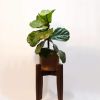 Mortised Plant Stand | Plants & Landscape by Oliver Inc. Woodworking. Item composed of oak wood