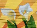 Radiant Blooms | Murals by Bryana Fleming