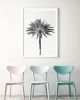 Minimalist black and white 'Palm Tree' photography print | Photography by PappasBland. Item made of paper works with minimalism & contemporary style