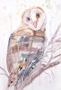 Barn Owl No. 9 : Original Watercolor Painting on Canvas | Paintings by Elizabeth Becker. Item composed of canvas in minimalism or contemporary style