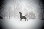 Howling Beagle | Public Sculptures by Jim Sardonis. Item made of bronze