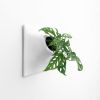 Node XL Wall Planter, 15" Mid Century Modern Planter, White | Plant Hanger in Plants & Landscape by Pandemic Design Studio. Item made of stoneware works with mid century modern & japandi style