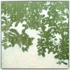 Sunrise Oak (36 x 36" framed acrylic painting) | Oil And Acrylic Painting in Paintings by Christine So