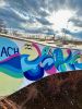 Bianca Romero Beach Skatepark | Street Murals by Bianca Romero