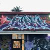 Freestyle Graffiti | Street Murals by SRIL ART