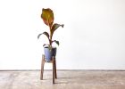 Tangent Plant Stand | Furniture by Leah K.S. Amick