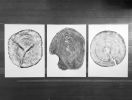 Set of 3 Tree - Cedar, Mulberry, and Pine | Prints by Erik Linton. Item made of paper