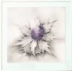 Lavender Thistle | Oil And Acrylic Painting in Paintings by Katherine Baronet | Lisa Bennett Salon in Dallas. Item made of canvas