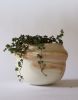 RWH-75 | Vase in Vases & Vessels by Rosa Wiland Holmes. Item made of ceramic