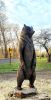 Portfolio of Chainsaw Carvings | Public Sculptures by Paul's Green Barn. Item composed of wood
