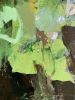 Mossy 1 | Oil And Acrylic Painting in Paintings by Jessalin Beutler. Item made of canvas compatible with contemporary style