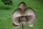 Orchid | Public Sculptures by Jim Sardonis. Item made of bronze