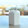 Guardians Tea and Cookie Jars | Vessels & Containers by Maia Ming Designs. Item composed of ceramic