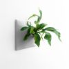 Node L Wall Planter, 12" Mid Century Modern Planter, Gray | Plant Hanger in Plants & Landscape by Pandemic Design Studio. Item made of stoneware