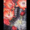 'Claret Cup Cactus' Original Oil Painting (Commission) | Oil And Acrylic Painting in Paintings by Jenny Stewart's Fine Art. Item made of canvas works with contemporary & rustic style