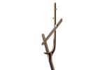 Vakt Coat Stand | Storage by Peter Qvist. Item composed of birch wood and brass in minimalism or contemporary style