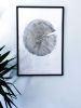 Set Of 3 Tree Ring Prints | Prints by Erik Linton | Kate Chipinski's Home in Minneapolis. Item composed of paper