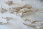 Conks Mushrooms Wall Sculpture, 60 Pieces Set, Cream White | Wall Hangings by SevaCeramics