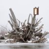 Herbarium Mini: Daucus Carota - Wall Light Sculpture | Wall Sculpture in Wall Hangings by Mateusz Wappa Design & Research. Item made of birch wood with glass works with minimalism & modern style