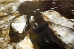 Golden Insight | 41x37 | Fine Art Paintings | Oil And Acrylic Painting in Paintings by Jacob von Sternberg Large Abstracts. Item composed of canvas and synthetic