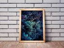 Spring | Limited Edition Print | Photography by Tal Paz-Fridman | Limited Edition Photography. Item made of paper works with country & farmhouse & coastal style
