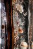 Night Space Pillar | Sculptures by Artefakty Vacek. Item in japandi or eclectic & maximalism style